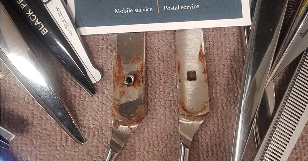 Care and Maintenance of your Scissors