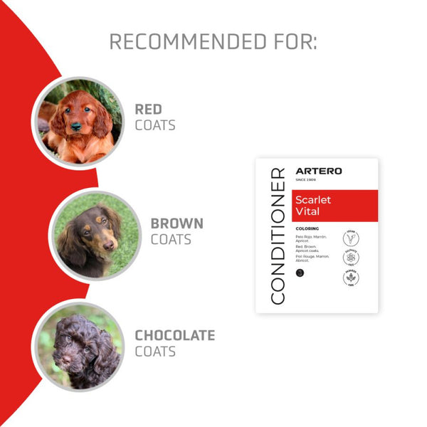 Artero SCARLET VITAL Conditioner 100ml