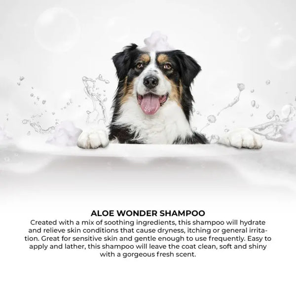 Groom Professional ALOE WONDER Shampoo - 4 litres