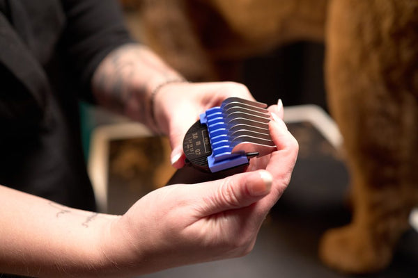WAHL Bravura2 Professional Pet Clipper