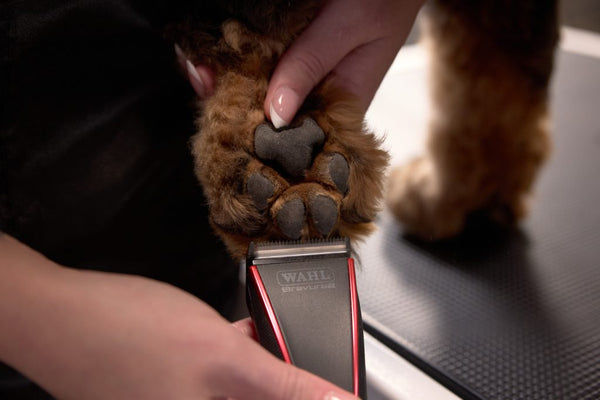 WAHL Bravura2 Professional Pet Clipper