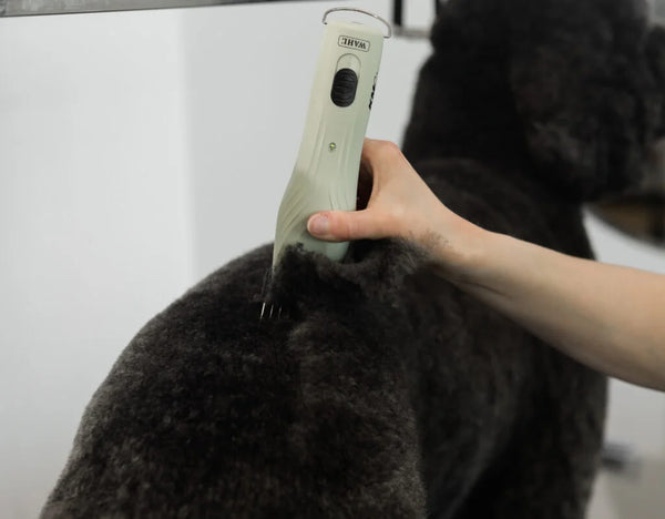 Wahl KMC+ Corded / Cordless Clipper