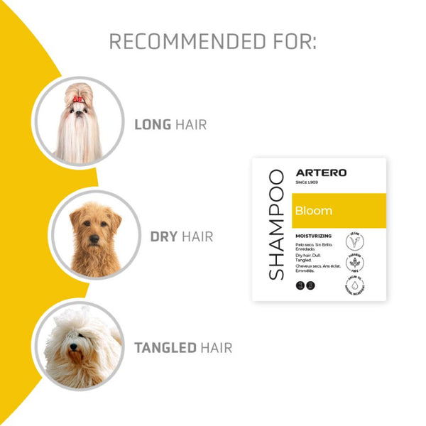 Artero BLOOM Shampoo