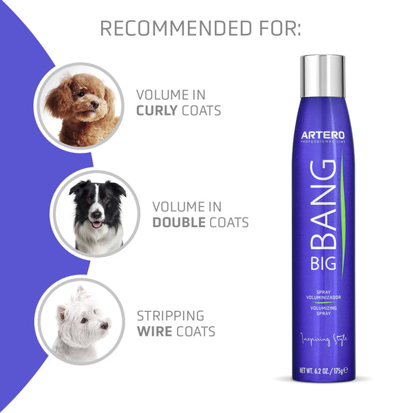Artero BIG BANG Volumising Spray