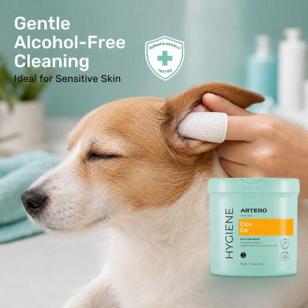 Artero EAR DIPS Ear Cleaning Wipes