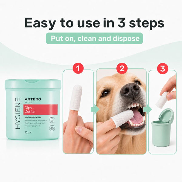 Artero DENTAL DIPS  Teeth Cleaning Wipes