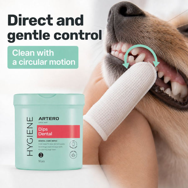 Artero DENTAL DIPS  Teeth Cleaning Wipes
