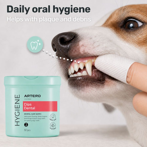 Artero DENTAL DIPS  Teeth Cleaning Wipes