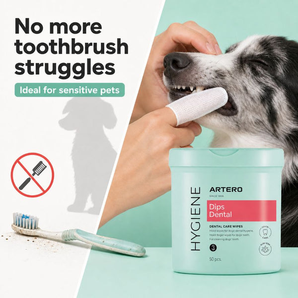 Artero DENTAL DIPS  Teeth Cleaning Wipes