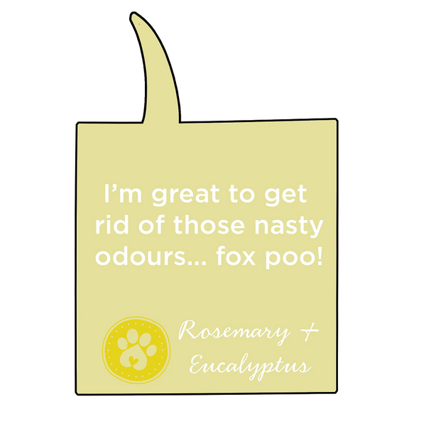 For All DogKind DIRTY Deep Cleansing Shampoo