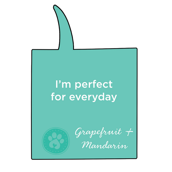 For All DogKind EVERYDAY 2-in-1 Conditioning Shampoo