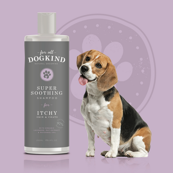 For All DogKind ITCHY Super Soothing Shampoo