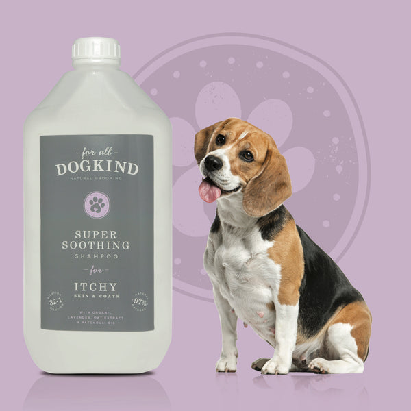 For All DogKind ITCHY Super Soothing Shampoo
