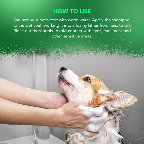 Wahl Aloe Soothe Shampoo 5 Litre