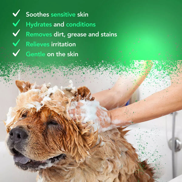 Wahl Aloe Soothe Shampoo 5 Litre