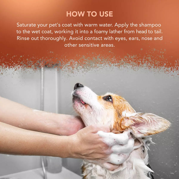 Wahl Dirty Beastie Shampoo