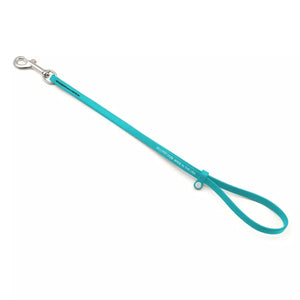 Jelly Pet Grooming Loop - TEAL 3/8" X 18"