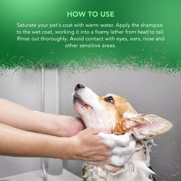 Wahl Tea Tree Shampoo 5 Litre