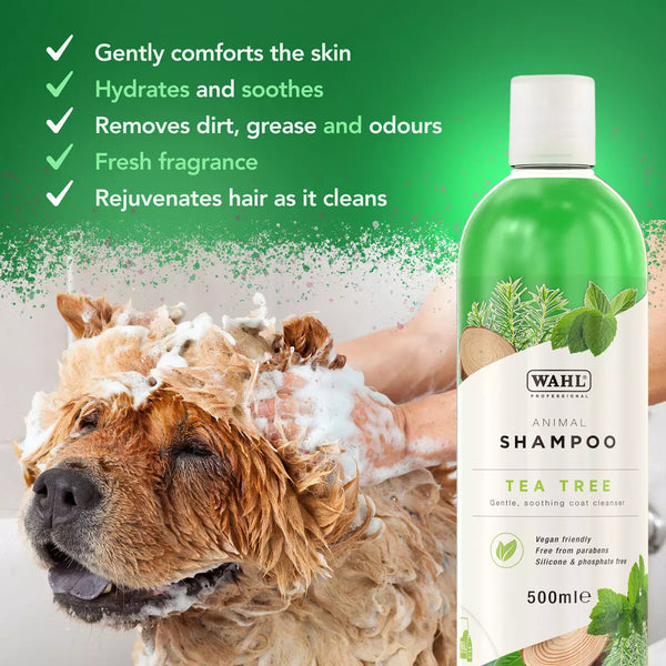 Wahl Tea Tree Shampoo 5 Litre